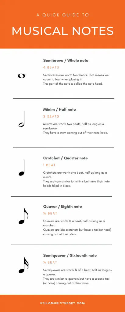 Infographic of the types of musical notation