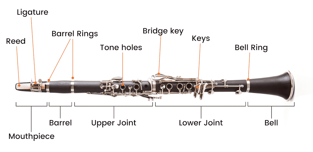 Parts Of A Clarinet: The Anatomy Explained