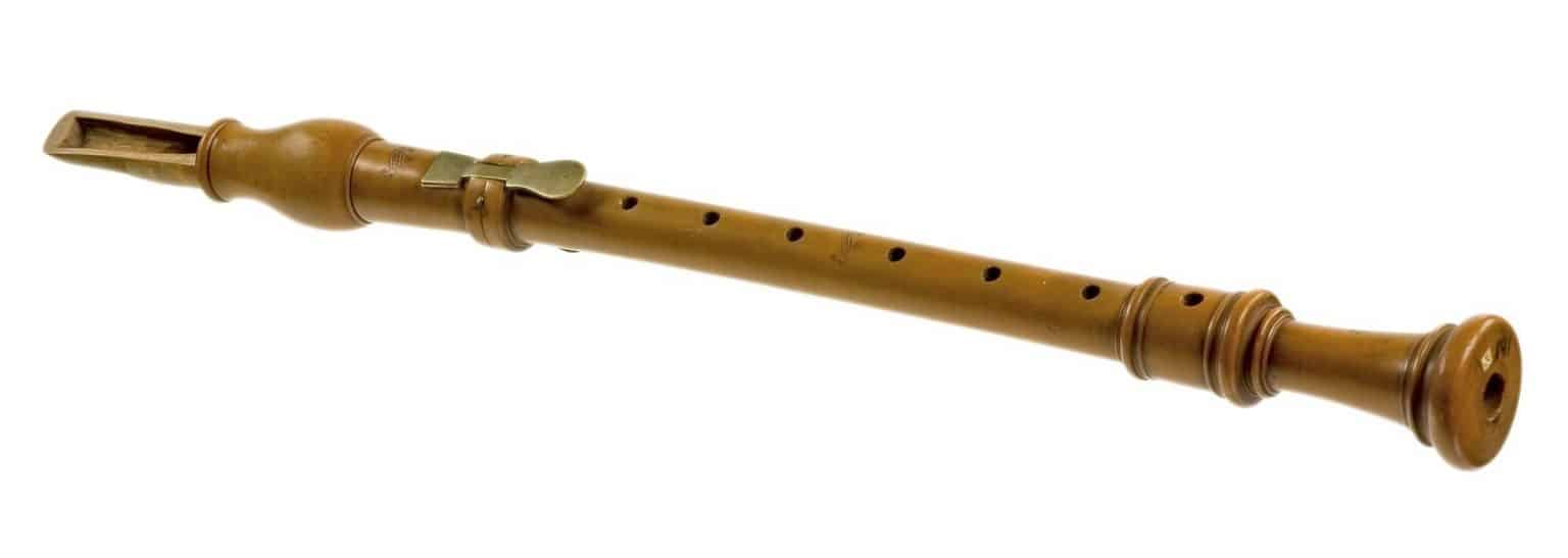 10 Fun And Interesting Facts About The