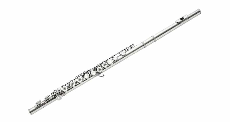 A Guide To The Different Types Of Flute | Hello Music Theory