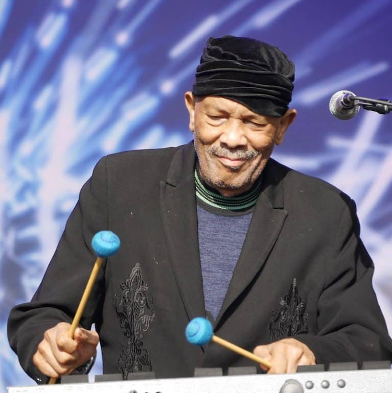 15 Of The Greatest And Most Famous Vibraphone Players 