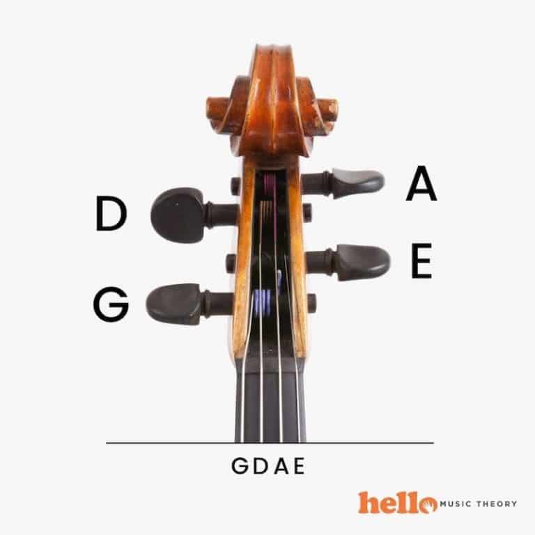 Parts Of The Violin The Anatomy And Structure Explained