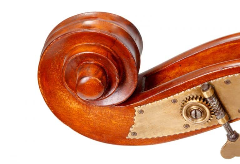 18 Fun And Interesting Facts About The Double Bass