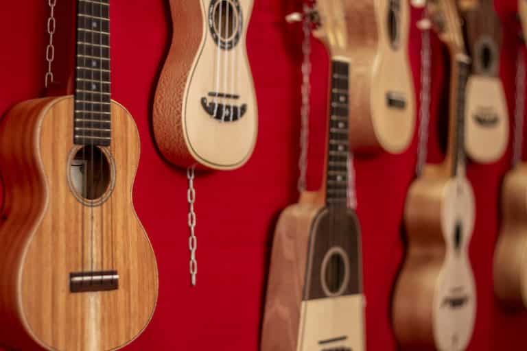 14 Fun And Interesting Facts About The Ukulele