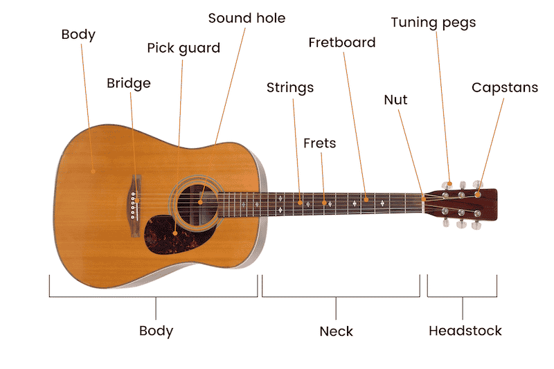 Different Parts Of An Acoustic Guitar to measure a guitar