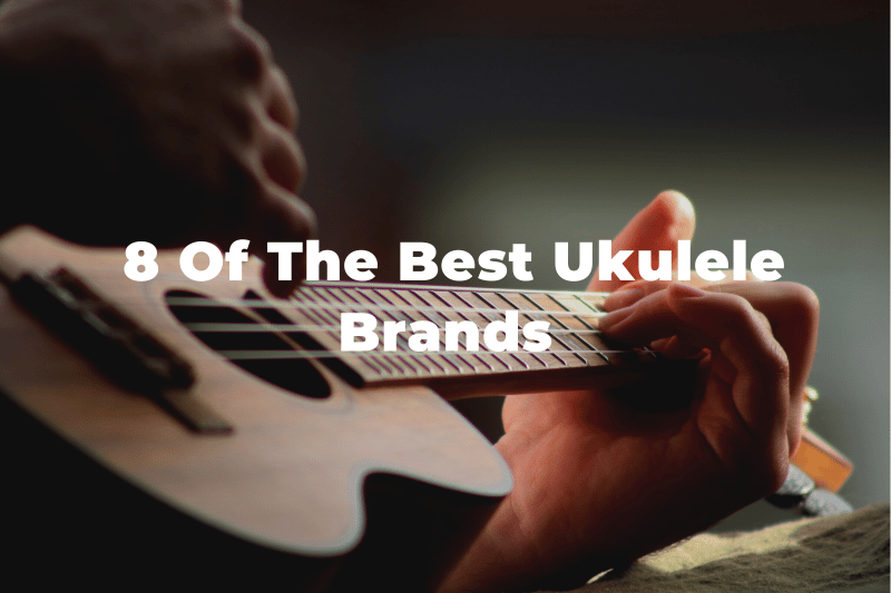 12 Best Ukulele Brands In The World