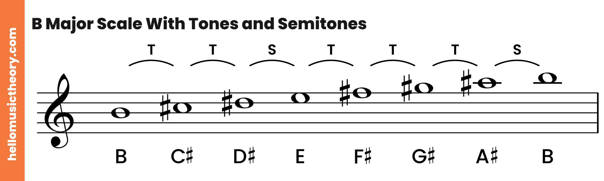 B Major Scale Treble Clef With Tones and Semitones