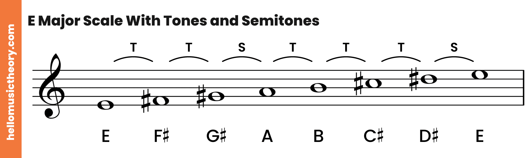 E Major Scale Treble Clef With Tones and Semitones