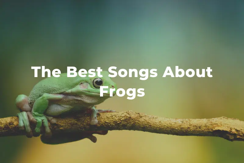 11 Of The Best Songs About Frogs