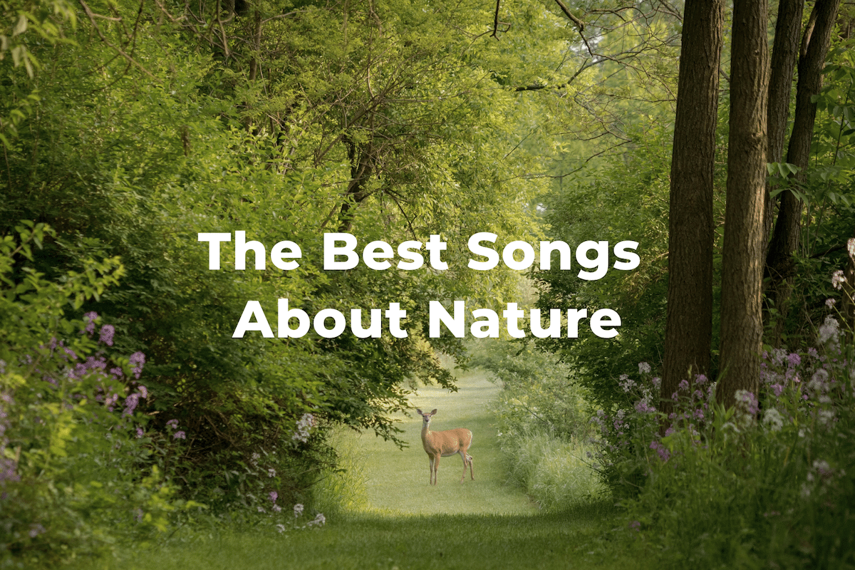 20 Songs About Nature: A Deep Connection to the Natural World