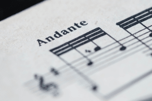 What Does Andante Mean In Music Definition Examples